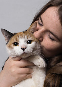 Kitten cuddles