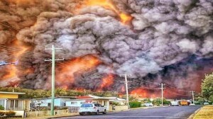 fire-basics-fire