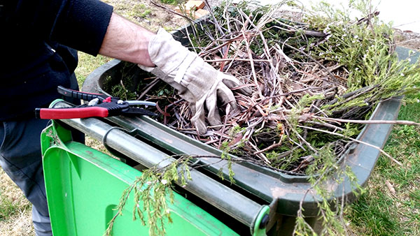 A full green waste bin